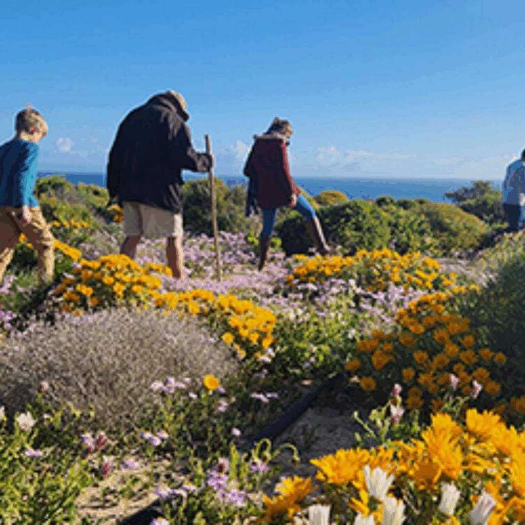 Namaqualand Flower Camps people walking