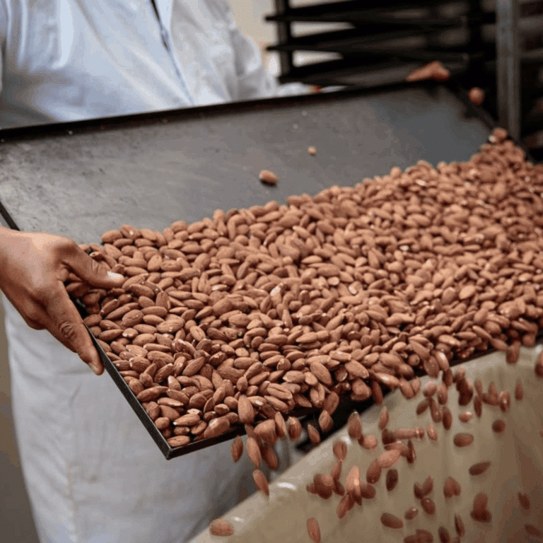 Buttanut Almonds in Factory