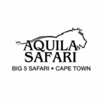 Aquila Logo Square
