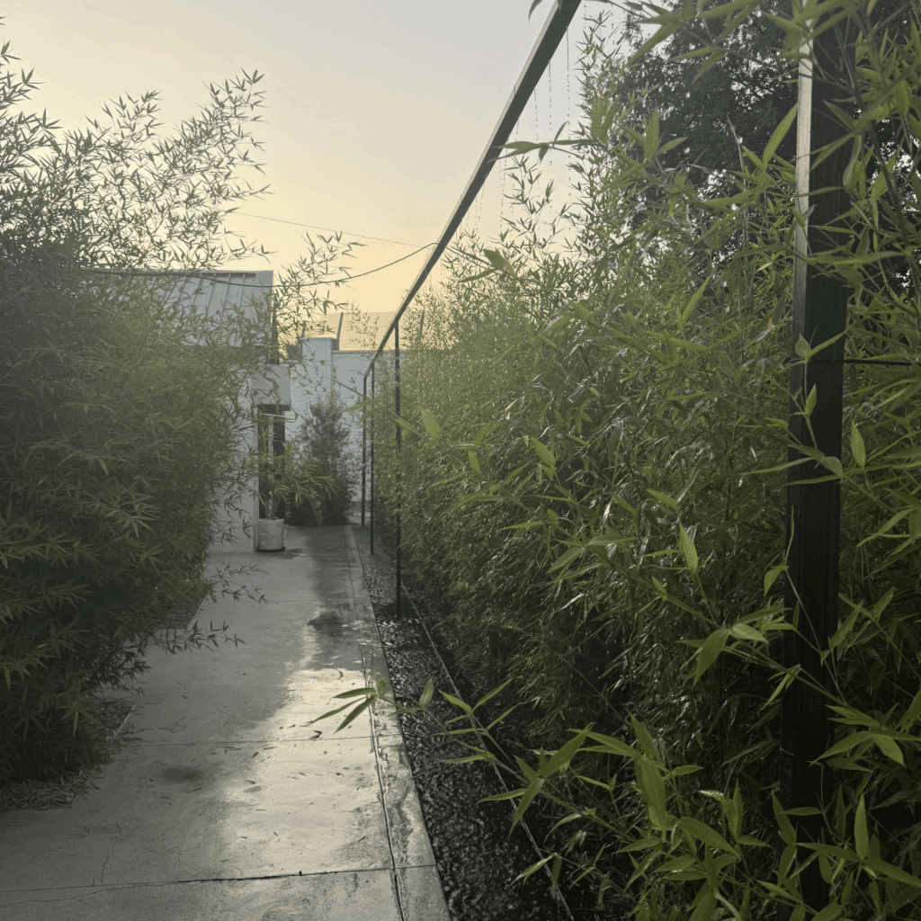 The Hyding water feature in garden