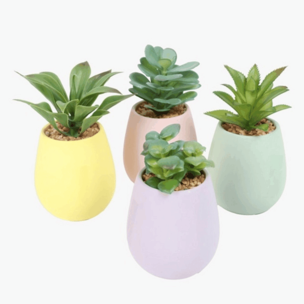 Easter Gift Guide pot plants