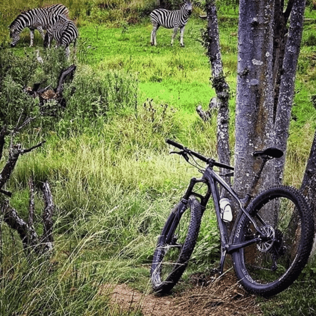 Cradle Moon Mountain Bike Trail