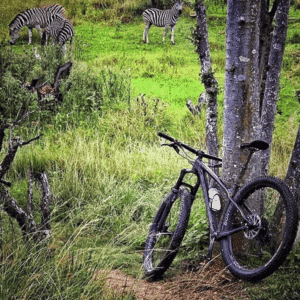 Cradle Moon Mountain Bike Trail