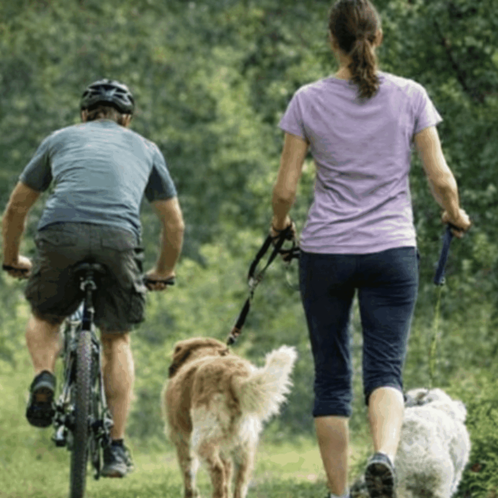 Huddle Park Golf and Recreation Centre