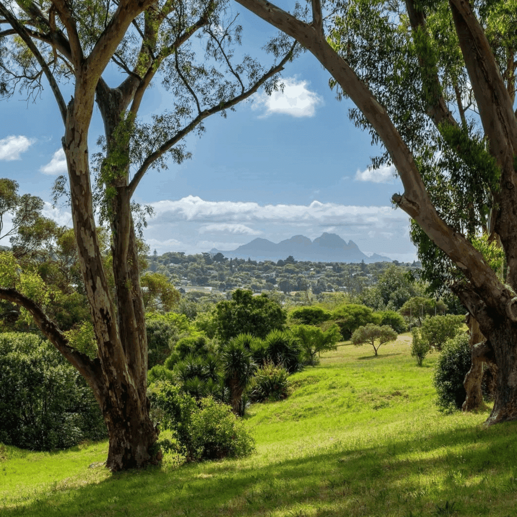 Majik Forest Mountain Bike Trail