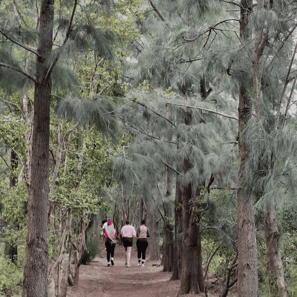 Rosemary Hill Mountain Bike Trail