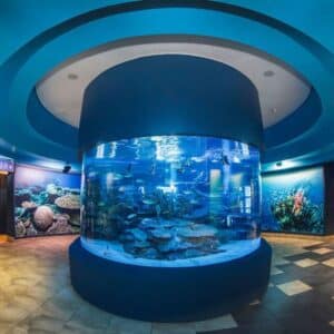 Things to do for free on your birthday in Cape Town - Two Oceans Aquarium