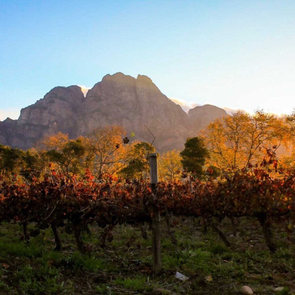 Boschendal Wine Estate