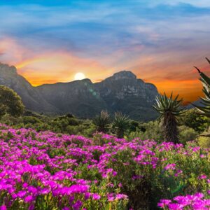 Jonkershoek Nature Reserve Sunset