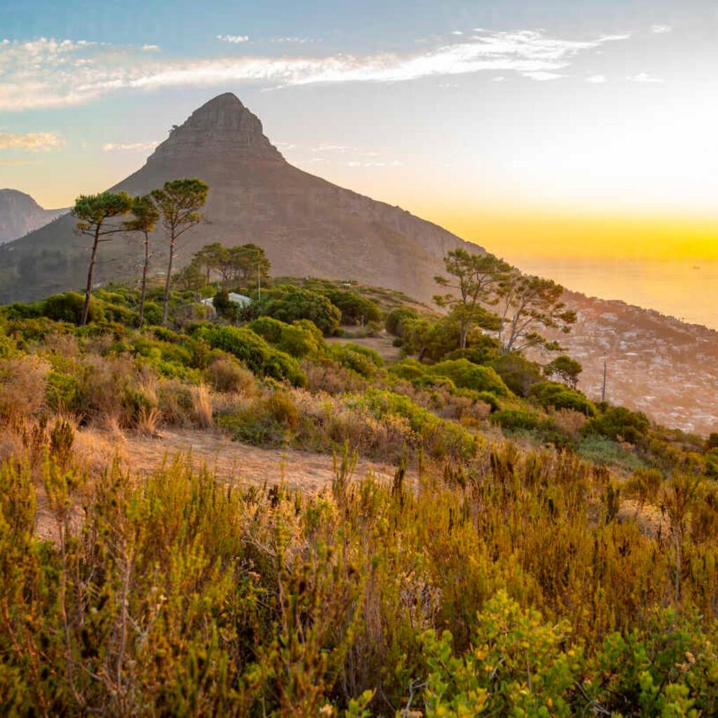 Lion's Head Hike at Sunset