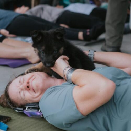 Puppy Yoga
