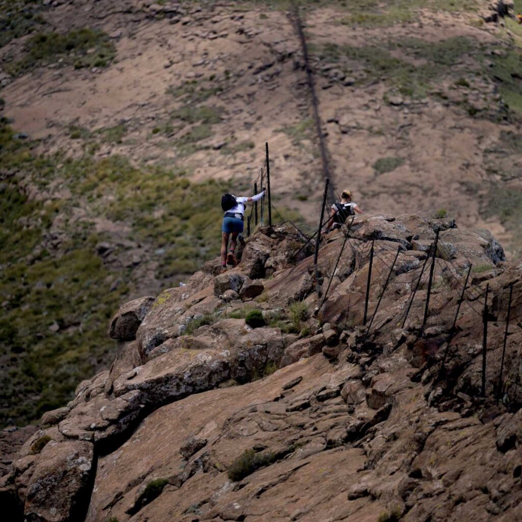 SkyRun 2026 02
