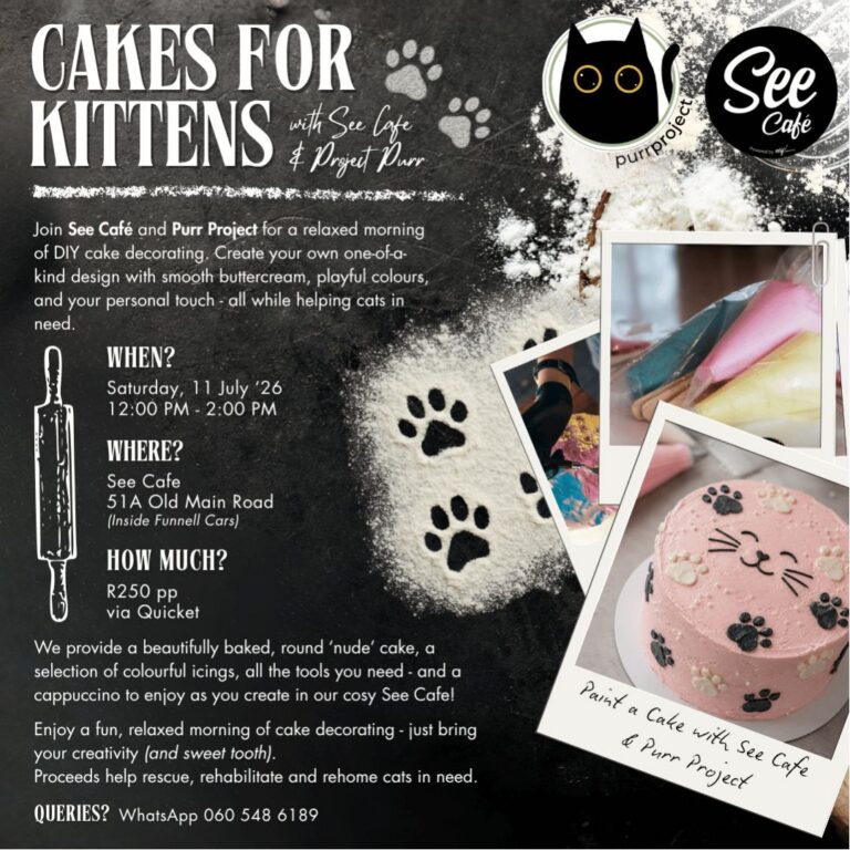 Cakes For Kittens