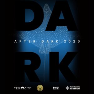 Aquarium After Dark | Akeeda and Porcelain Moon