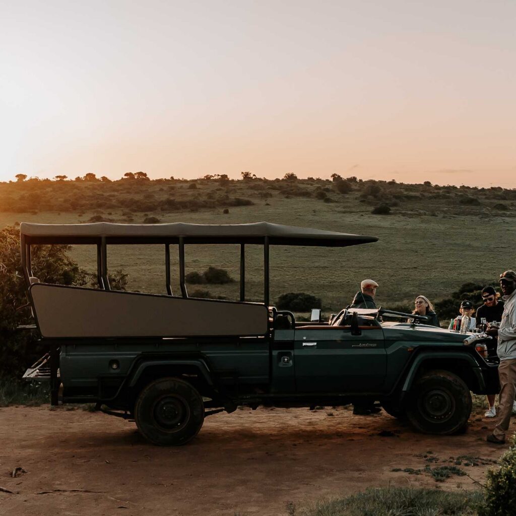 Why the Eastern Cape Should Be Your Next Safari Escape