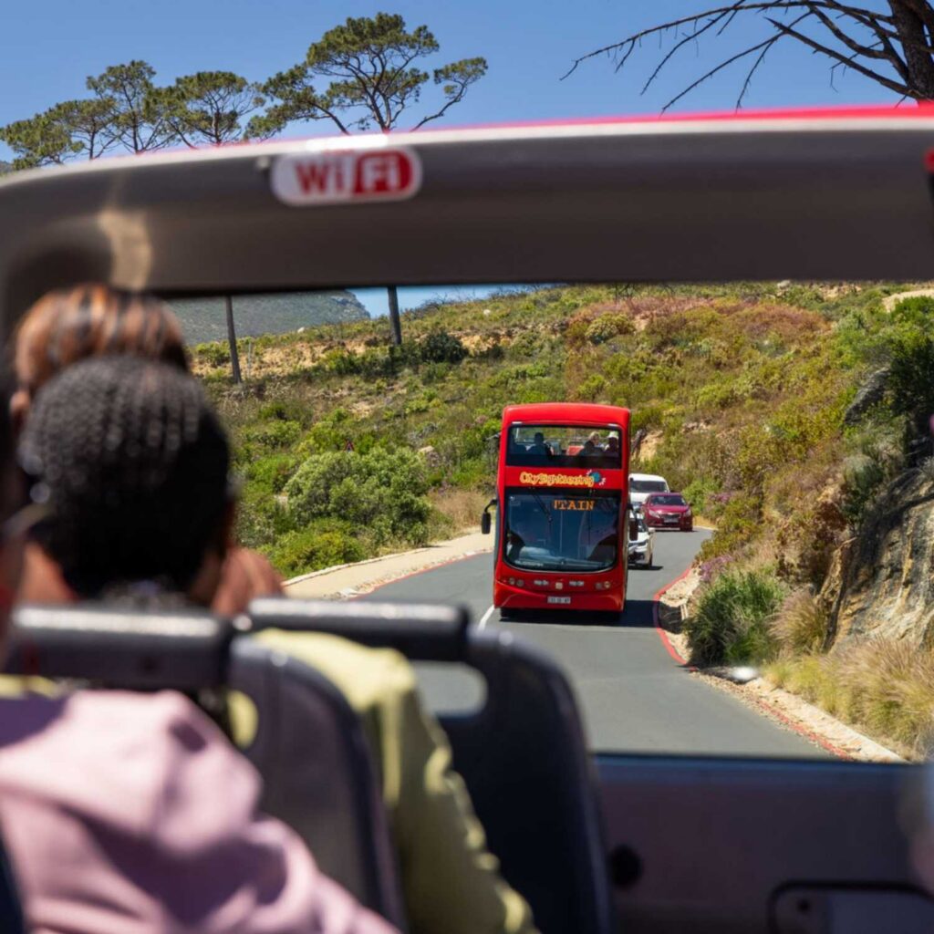 City Sightseeing Cape Town 2