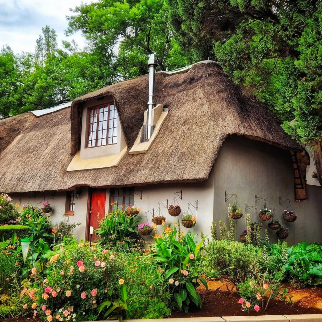 Granny Mouse Country House
