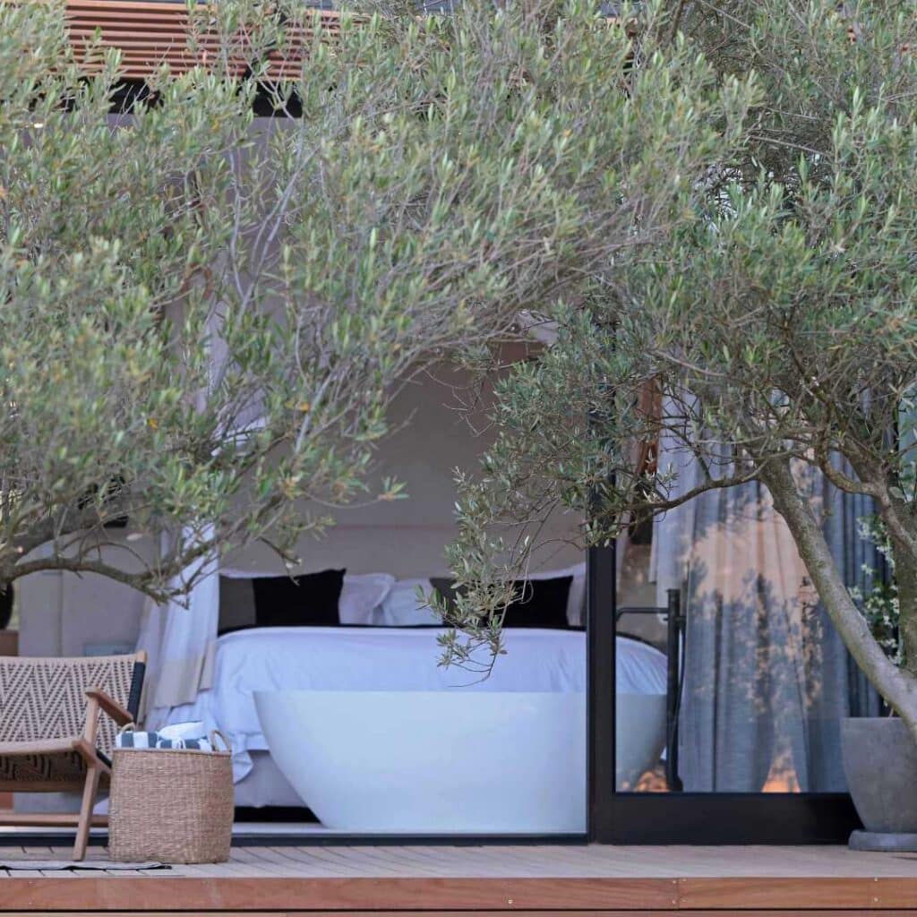 Olijvenkraal Winelands Lodge 5
