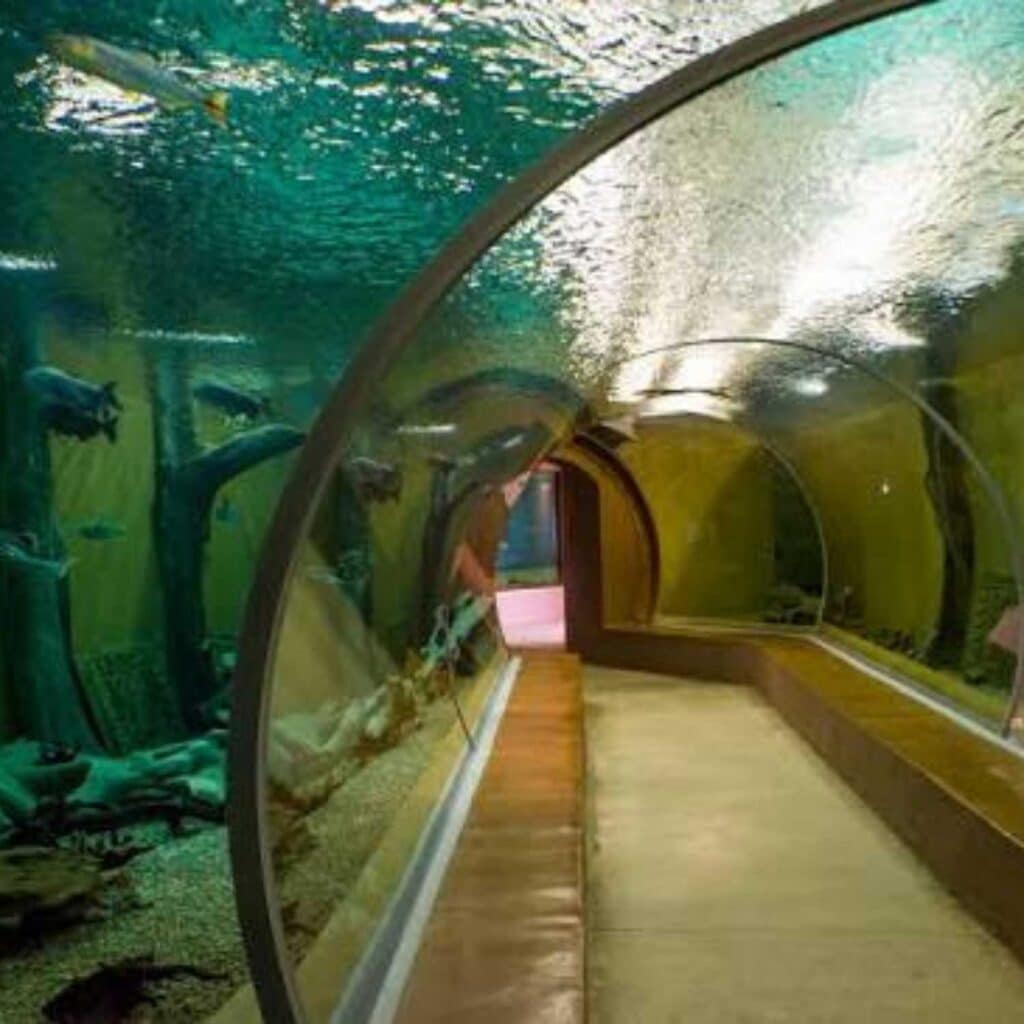 Joburg Zoo