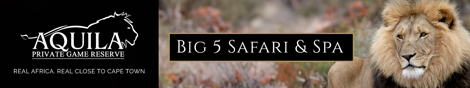 Aquila Safari Website Banner 2026