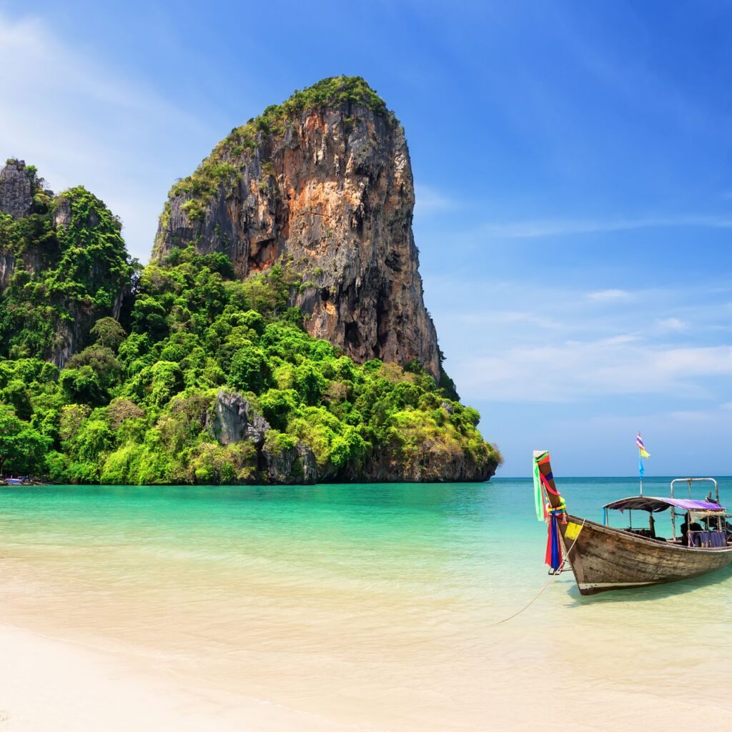 Thailand Beech