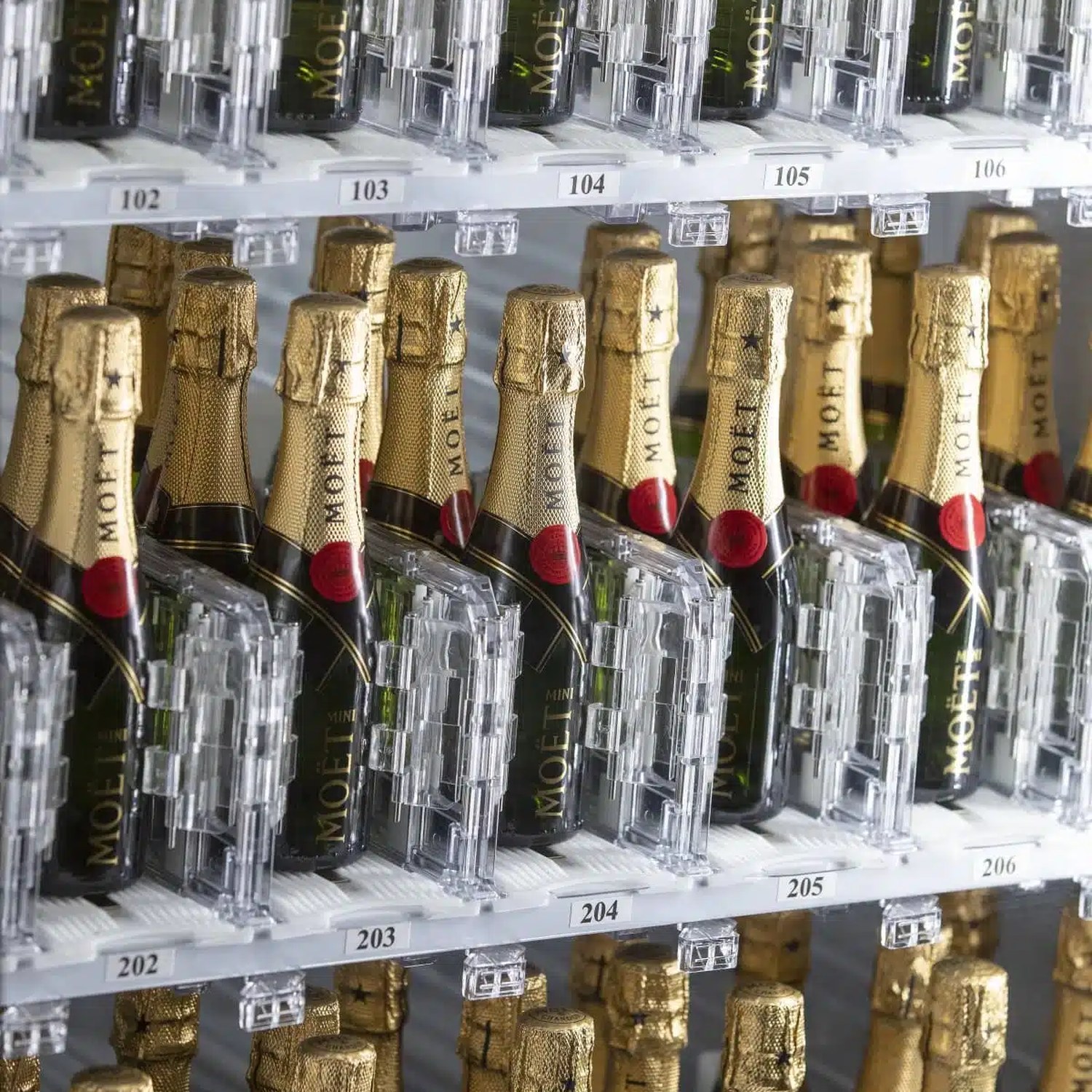 Champagne bottles displayed at Alto234.