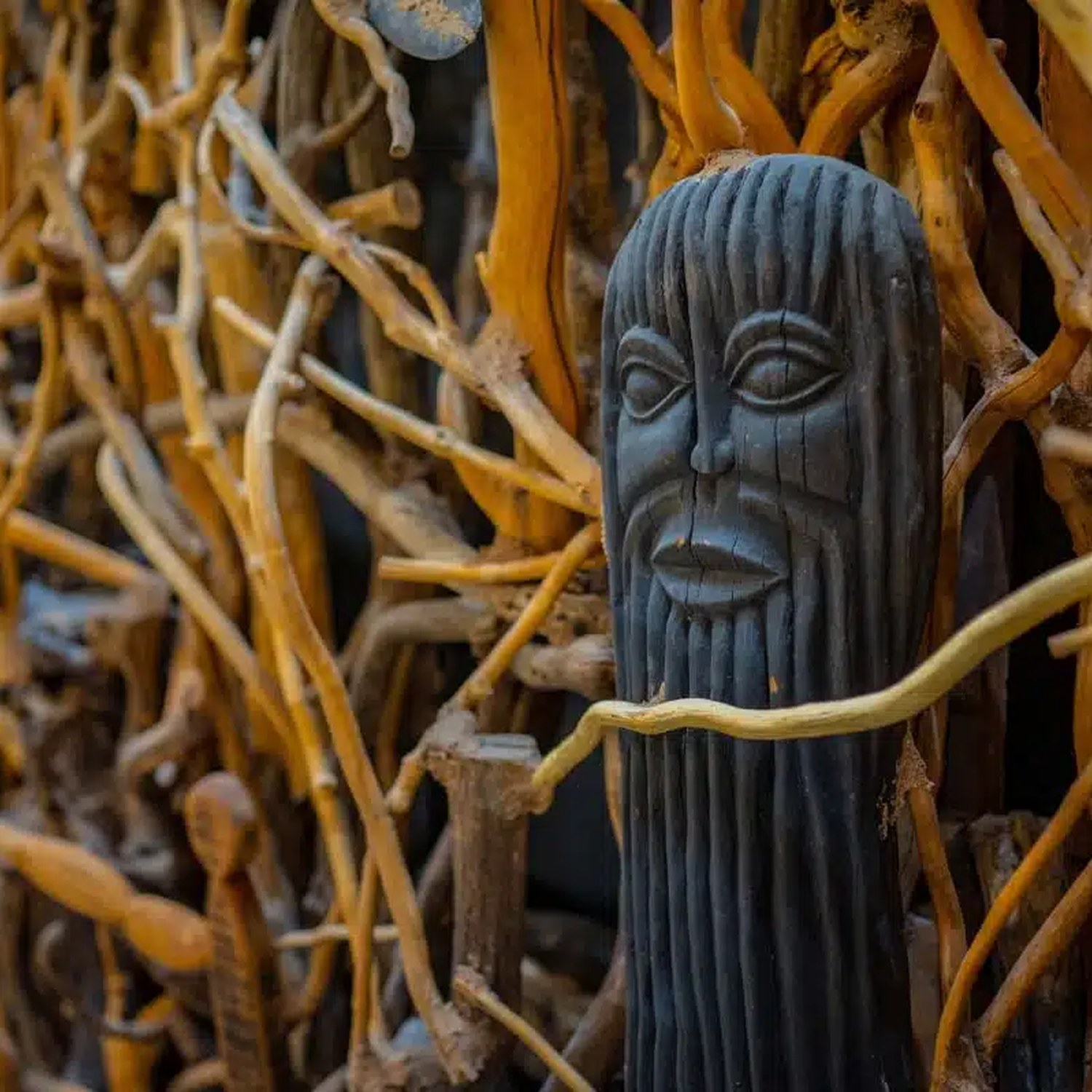 Detail of the Roots artwork at The Leonardo.