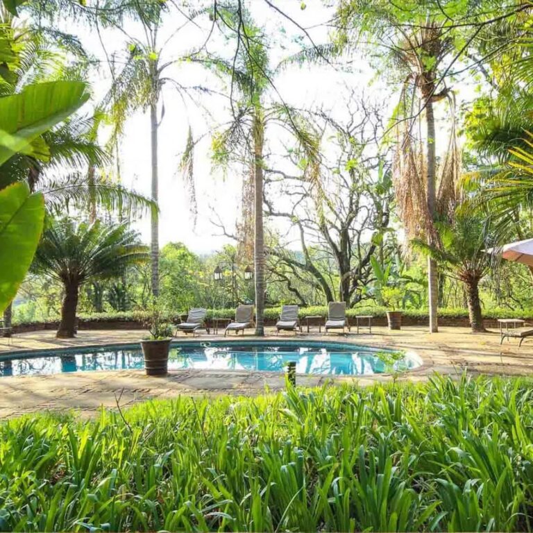 A pool surrounded by gardens at a wellness retreat.