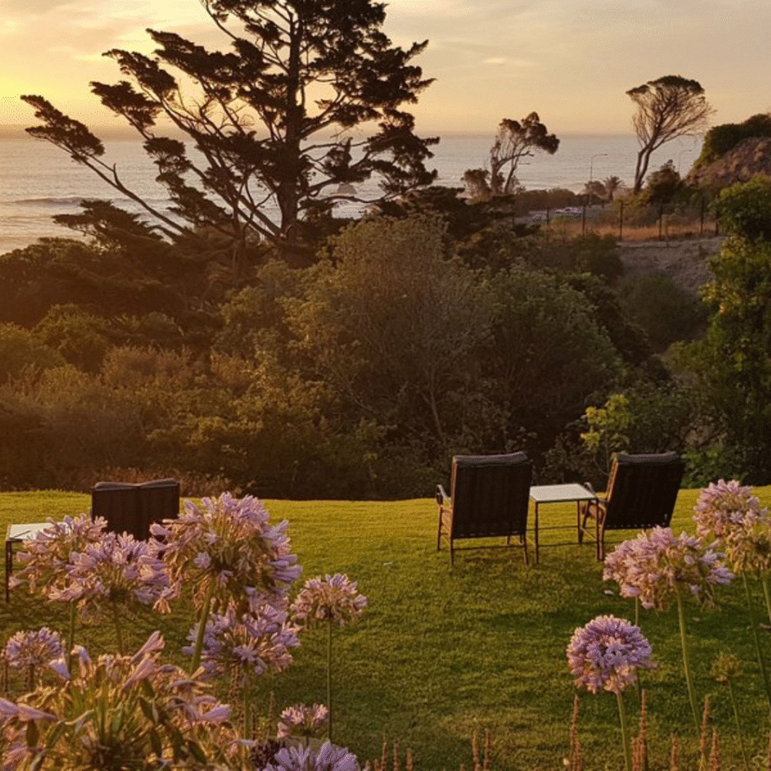 The gardens at Camps Bay Retreat.
