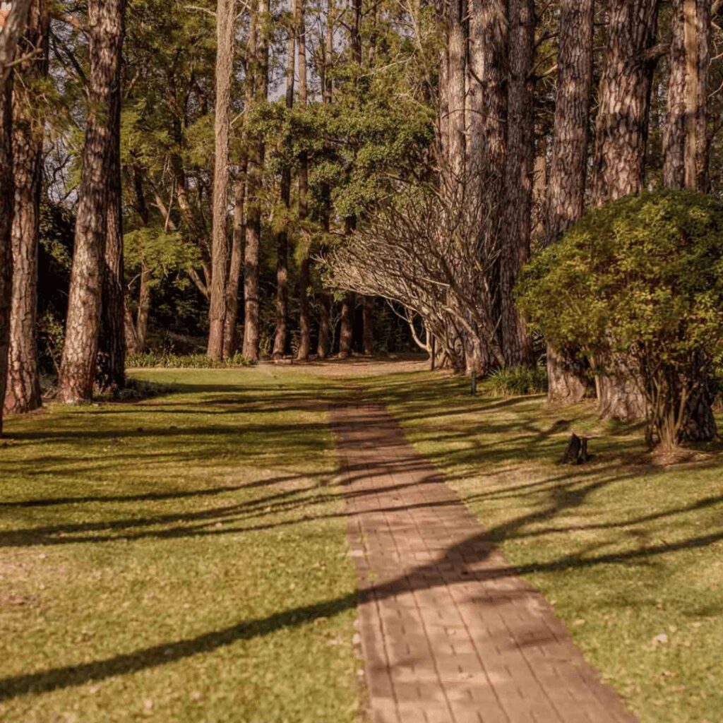 A garden path at White River Manor.
