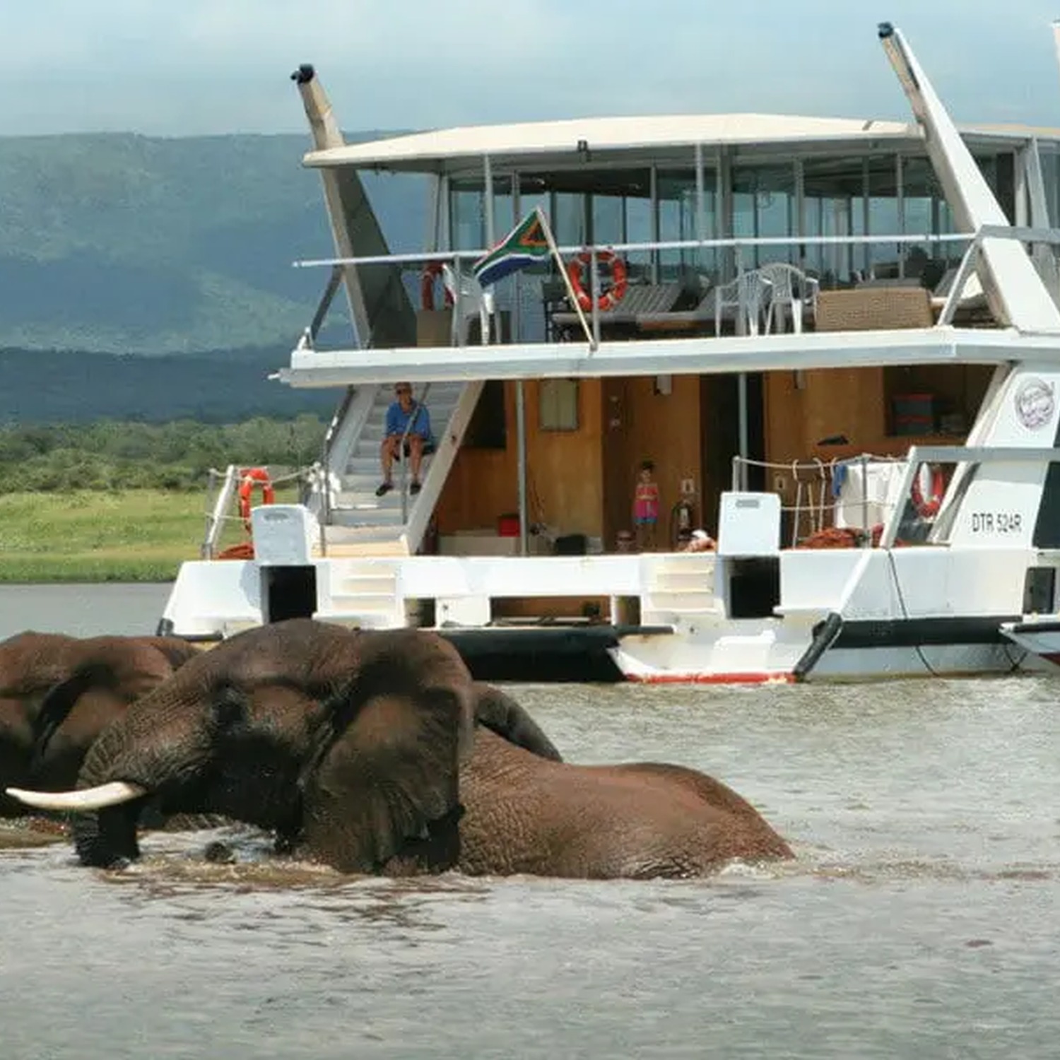 Shayamanzi houseboat beside wildlife on the shoreline