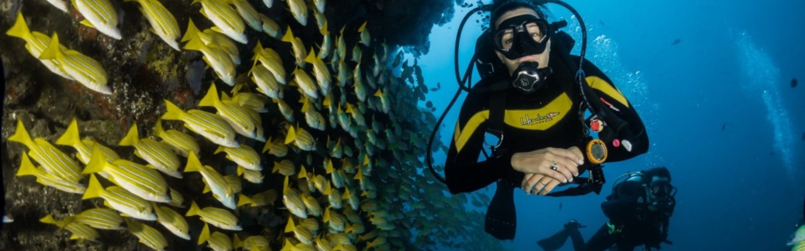 Hello Travel Deals Adventure Diving in Sodwana Bay