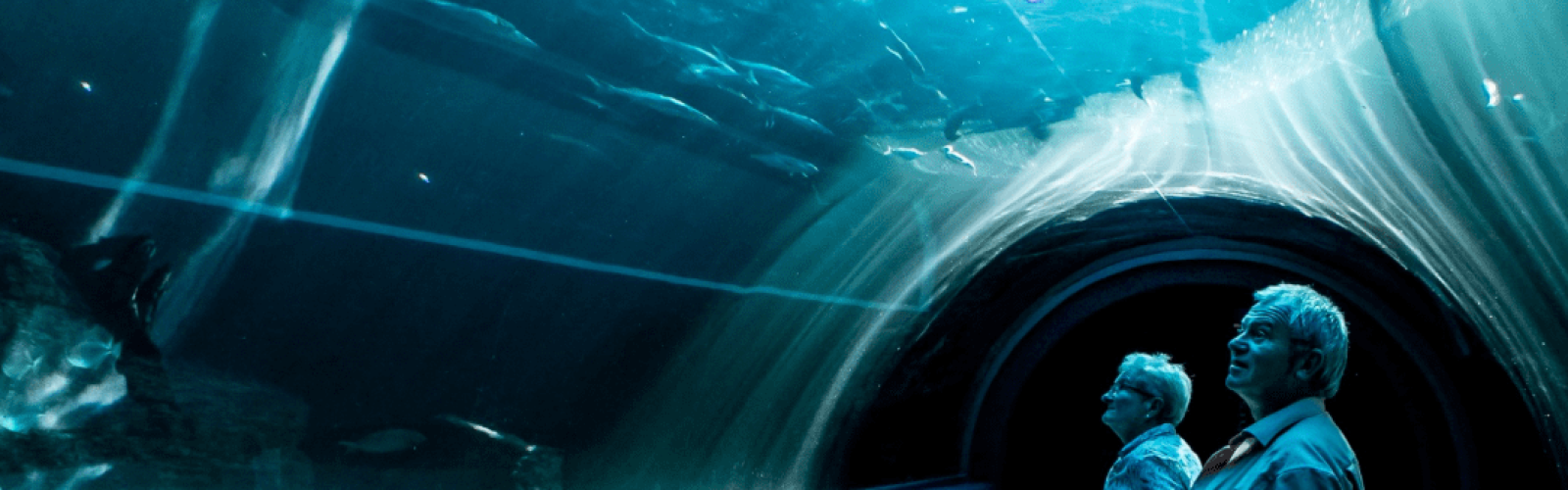 Grandparents in aquarium