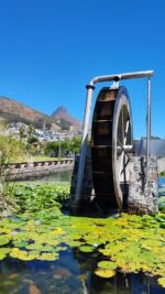 Took a stroll through Cape Town's Green Point Park this morning. How stunning? 

#capetown #exploretheworld #exploresouthafrica #southafrica #mzansi #greenpoint