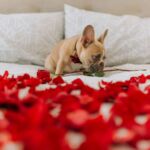 Happy Valentine's Day! 

We've chosen this little guy as our Valentine. How cute!? 

We're curious... Are you even celebrating Valentine's Day today? Yes or no?