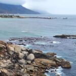 Ah, how we would love to take a walk along the Atlantic Seaboard right now... How stunning? 

#capetown #atlanticseaboard #traveladdict #travelholic #oceanview